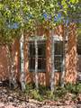 951 Camino Santander - Photo 47