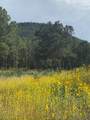 68 (Lot 7A) The Cliffs - Photo 5