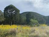 68 (Lot 7A) The Cliffs - Photo 6