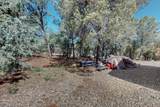 5 Camino Real - Photo 25