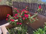 1007 Calle Largo - Photo 53