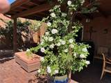 1007 Calle Largo - Photo 54
