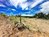 TBD Fort Defina Road, Lot 165 4.93 Acres - Photo 1
