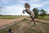 224 Nine Mile Road - Photo 22
