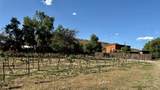 442 Los Pinos Road - Photo 32