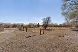 442 Los Pinos Road - Photo 50