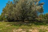 15 Calle Rivera - Photo 52