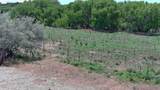 442 Los Pinos Road - Photo 67