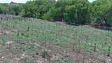 442 Los Pinos Road - Photo 68