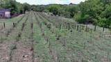442 Los Pinos Road - Photo 69