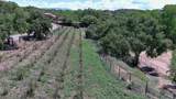 442 Los Pinos Road - Photo 70