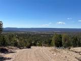 239.1 Acres - Photo 1