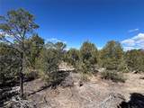 239.1 Acres - Photo 10