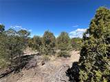 239.1 Acres - Photo 11