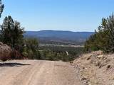 239.1 Acres - Photo 4