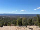 239.1 Acres - Photo 5
