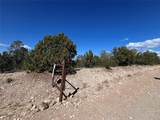 239.1 Acres - Photo 8