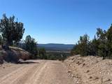 239.1 Acres - Photo 9