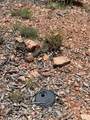 215 Double Arrow - Photo 8