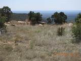 139 Apache Mesa Road - Photo 14