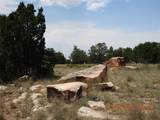 139 Apache Mesa Road - Photo 15