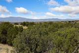42 Via Del Caballo - Photo 13