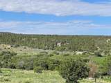 107 County Road 69 - Photo 18
