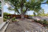 2551 Camino Cabestro - Photo 40