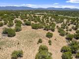 11 Paseo Del Halcon - Photo 20