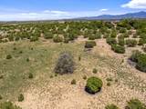 11 Paseo Del Halcon - Photo 21
