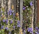 12 Via Optima - Photo 57
