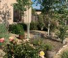 12 Via Optima - Photo 58