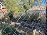 1034 8th Street - Photo 34