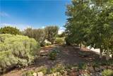 2328 Calle Camarico - Photo 35