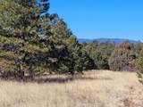 59 Silver Feather Trail - Photo 1