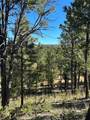 59 Silver Feather Trail - Photo 2
