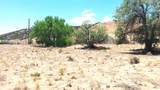 Lot 5 El Porvenir - Photo 11