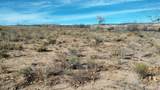 Lot 5 El Porvenir - Photo 14