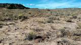 Lot 5 El Porvenir - Photo 15
