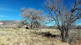 Lot 5 El Porvenir - Photo 20