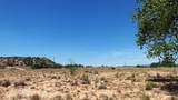 Lot 5 El Porvenir - Photo 7