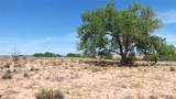 Lot 5 El Porvenir - Photo 9