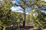 4A Ponderosa Ridge Road - Photo 28