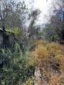 31 Private Drive 1533 - Photo 28