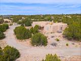 44 Camino Benavidez - Photo 6