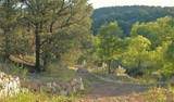 1820 Kachina Heights - Photo 8
