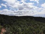 1820 Kachina Heights - Photo 9