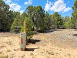 Lot 7 Tierra De Dios - Photo 4
