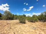 Lot 7 Tierra De Dios - Photo 5
