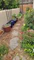 916 Calle Carmilita - Photo 47